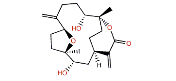 Flexilarin J